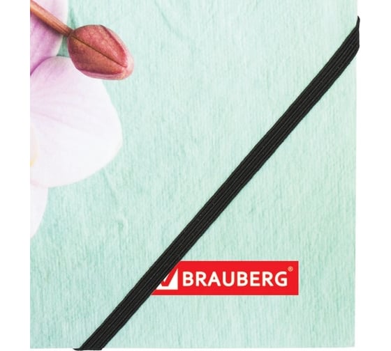 Папка на резинках BRAUBERG FLOWER А4, цветная печать, до 300 листов, 500 мкм 228032