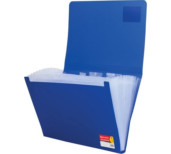Папка на резинках BRAUBERG Business А4, 6 отделений, пластиковый индекс, синяя, 0.5 мм 224144
