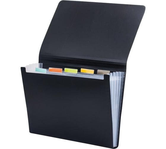Папка на резинках BRAUBERG Business А4, 6 отделений, пластиковый индекс, черная, 0.5 мм 224145