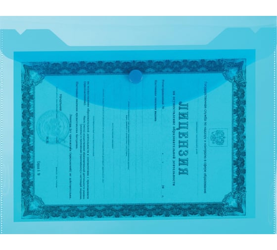 Папка-конверт на кнопке Attache A5, 120 мкм, 10 шт 1243048