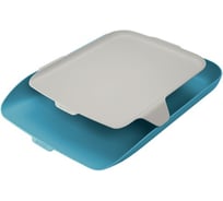 Горизонтальный лоток LEITZ Cosy с органайзером, soft touch, синий 52590061