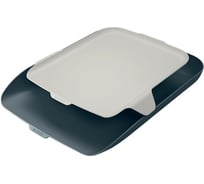 Горизонтальный лоток LEITZ Cosy с органайзером, soft touch, серый 52590089