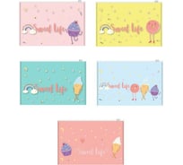 Папка-конверт на zip-молнии Attache Selection Sweet life А5 200 мкм., 5 шт 1253598