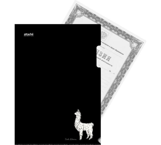 Папка-уголок Attache Selection Llamas A4 пластиковая 180 мкм., цвет в ассортименте, 6 шт 1067686