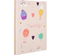 Папка с зажимом Attache Selection Sweet life A4 0.55 мм., голубая с рисунком, до 150 л 1251152