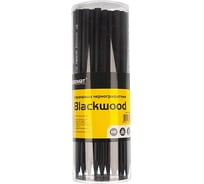 Чернографитный карандаш INFORMAT BLACKWOOD НВ заточенный, трехгранный, 48 шт в тубе PGNBWT-HB