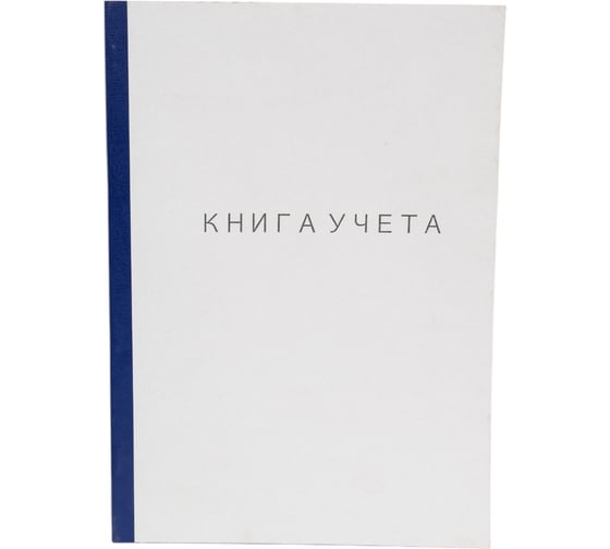 Книга учета INFORMAT 60 листов, клетка, офсет, А4 втачку, картон хромэрзац, вертикальная, синяя KYA4-KR60K