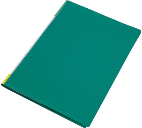 Папка с файлами INFORMAT А4 20 файлов зеленый пластик 500 мкм карман NP0145-20G