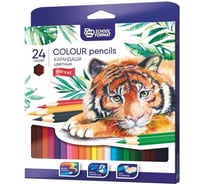 Набор цветных карандашей Schoolformat ANIMALS 24 цвета шестигранные дерево КЦ24-ТЖ