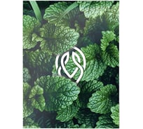 Блокнот Schoolformat СИМВОЛЫ ПРИРОДЫ А6 40 листов, клетка, скрепка, мелованный картон, глянцевая ламинация, 35 шт в упаковке БЛ6-СМП