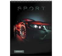 Блокнот Schoolformat МАШИНЫ В ТЕМНОТЕ А6 40 листов, клетка, гребень, мелованный картон, глянцевая ламинация, 35 шт в упаковке БЛ6-МВТ