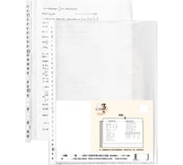 Папка DELI с 20 прозрачными вкладышами 72616 A3 полипропилен прозрачный 1394979