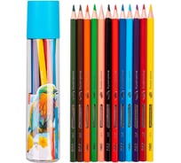 Карандаши цветные DELI EC111-12 Color Emotion шестигранный липа 12 цветов тубус пластиковый 12 шт 1478863