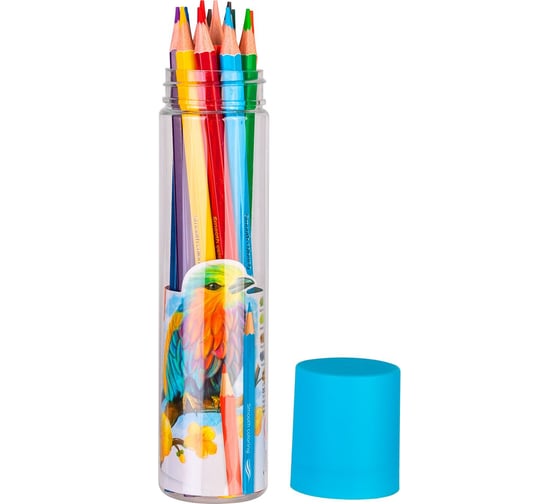 Карандаши цветные DELI EC111-12 Color Emotion шестигранный липа 12 цветов тубус пластиковый 12 шт 1478863