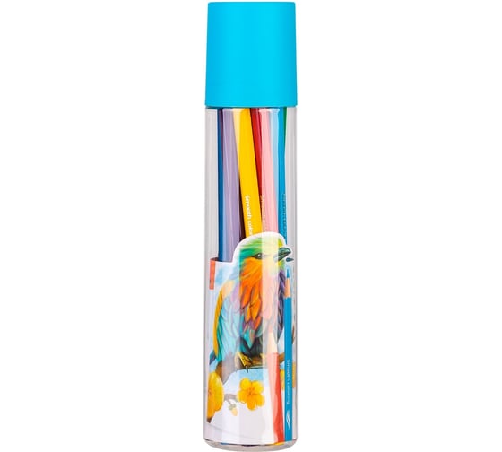 Карандаши цветные DELI EC111-12 Color Emotion шестигранный липа 12 цветов тубус пластиковый 12 шт 1478863