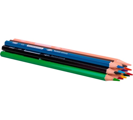 Карандаши цветные DELI EC111-12 Color Emotion шестигранный липа 12 цветов тубус пластиковый 12 шт 1478863