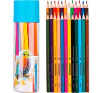Карандаши цветные DELI EC111-24 Color Emotion шестигранный липа 24 цвета тубус пластиковый 24 шт 1478873