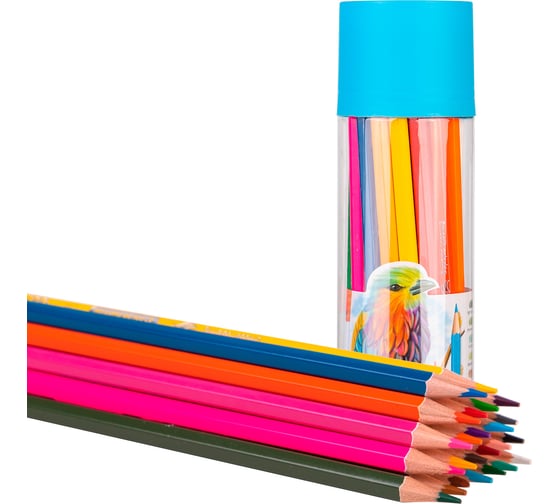 Карандаши цветные DELI EC111-24 Color Emotion шестигранный липа 24 цвета тубус пластиковый 24 шт 1478873