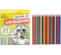 Карандаши Calligrata 24 цвета, в картонной коробке 1607732