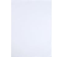 Писчая бумага Calligrata А4 250 листов, 50-65 г/м2, белизна 92-98% 4302939