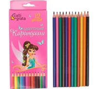 Карандаши Calligrata Принцесса 12 цветов, в картонной коробке, деревянные, шестигранные 129802