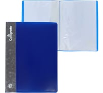 Папка Calligrata 20 прозрачных вкладышей A4 500 мкм, карман на корешке, черничный 6580791
