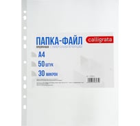 Файл-вкладыш Calligrata А4 30 мкм, глянцевый 50 шт 3258535