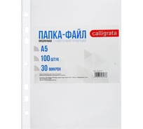 Вертикальный файл-вкладыш Calligrata А5 30 мкм, глянцевый, 100 шт 3258533