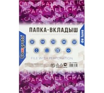 Файл-вкладыш Calligrata А4, 110 мкм, матовый, люкс, 50 шт 6534851