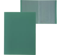 Папка Calligrata 10 прозрачных вкладышей A4 500 мкм зелёная песок 3258495