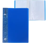 Папка Calligrata 10 прозрачных вкладышей A4 500 мкм, карман на корешок, синий 6580775
