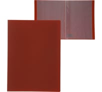 Папка Calligrata 10 прозрачных вкладышей A4 500 мкм красная песок 3258493