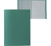 Папка Calligrata 60 прозрачных вкладышей А4 500 мкм зелёная песок 3258515