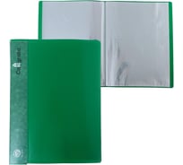 Папка Calligrata 40 прозрачных вкладышей A4 500 мкм, карман на корешке, зеленый 6580819