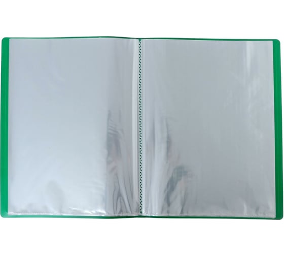 Папка Calligrata 60 прозрачных вкладышей A4 500 мкм, карман на корешке, зеленый 6580833
