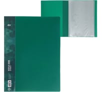 Папка Calligrata 30 прозрачных вкладышей А4 15 мм, 600 мкм, карман на корешке, зелёный 5698304