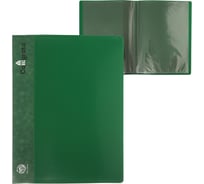 Папка Calligrata 10 прозрачных вкладышей A4 500 мкм, карман на корешок, зеленый 6580773