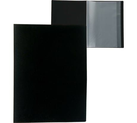 Папка Calligrata 10 прозрачных вкладышей A4 500 мкм черная песок 3258494