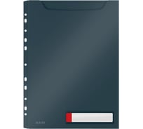 Папка LEITZ Cosy soft touch с увеличенной вместимостью, 3 шт в упаковке, серый 46680089