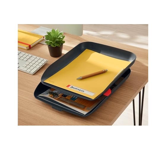 Папка-уголок LEITZ Cosy soft touch с адресной строкой, 3 шт в упаковке, желтый 47080019