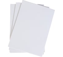 Глянцевая мелованная бумага Calligrata Бумага А3, 250 листов, 80г/кв.м, крафтовая упаковка 4660473