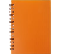 Записная книжка Calligrata пластиковая обложка А6 80 листов на гребне неон оранжевая 3554040