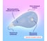 Корректирующая лента PASTEL 5мм х 12 м вращающийся наконечник 3 шт, BRAUBERG 272489 6