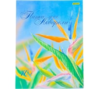 Папка для акварели SILWERHOF 914008-54 A3 10 листов бумага 180 г/кв.м 458639