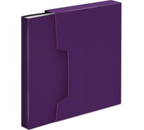 Папка с 80 прозрачными вкладышами Бюрократ DeLuxe DLVBOX80BBERRY A4, пластик, 0.7 мм, черничный, в коробе 1139849