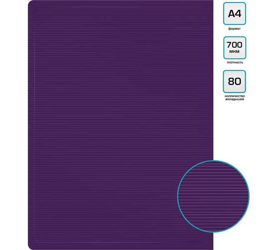 Папка с 80 прозрачными вкладышами Бюрократ DeLuxe DLVBOX80BBERRY A4, пластик, 0.7 мм, черничный, в коробе 1139849