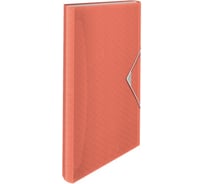 Папка для проектов Esselte Colour'Ice, абрикосовый 626251