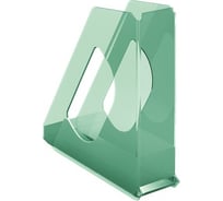 Вертикальный накопитель Esselte Colour'Ice зеленый 626280
