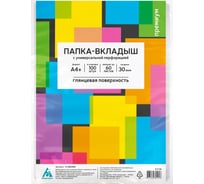 Папка-вкладыш Бюрократ Премиум -013BKAN2 глянцевые, А4+, 30 мкм, 100 шт 817136
