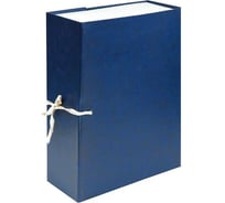 Архивный короб INFORMAT 230х320х100 мм А4 ассорти бумвинил 2 завязки собранный ВВ91100